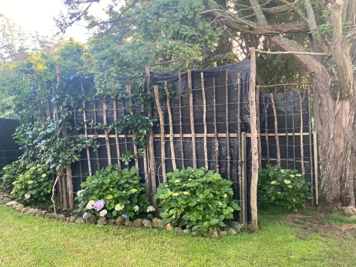 Guinea's Rest * Waipapa